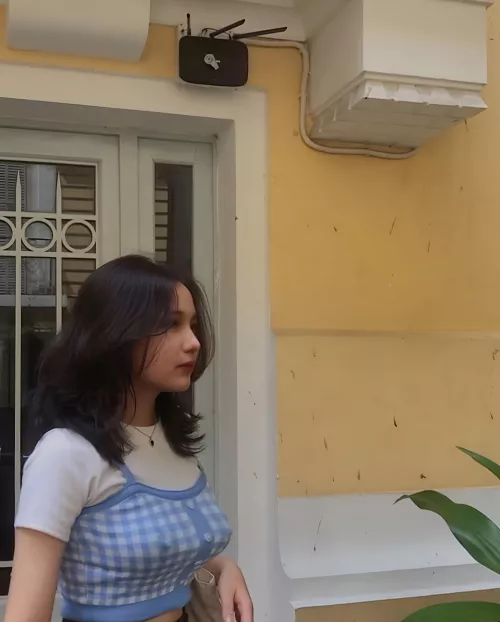 These are attack boobies