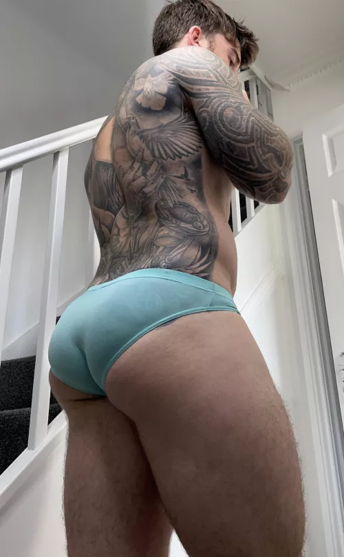 These briefs are holding it all together