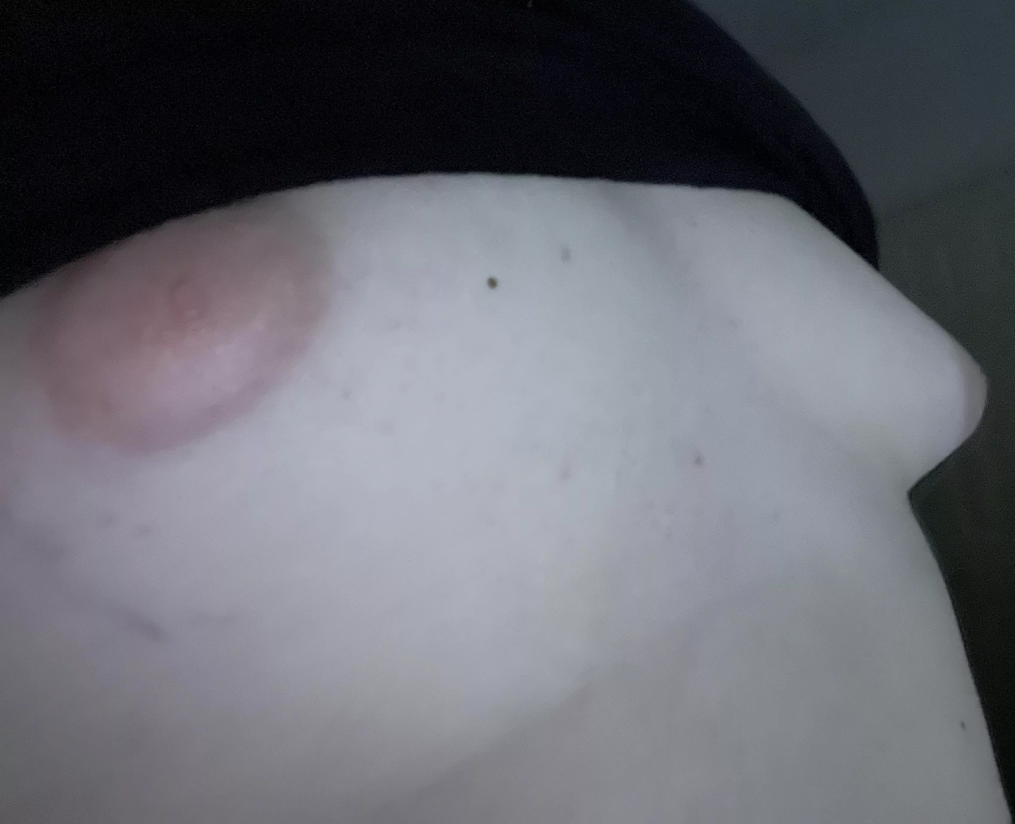 These little boobs are back for more tributes