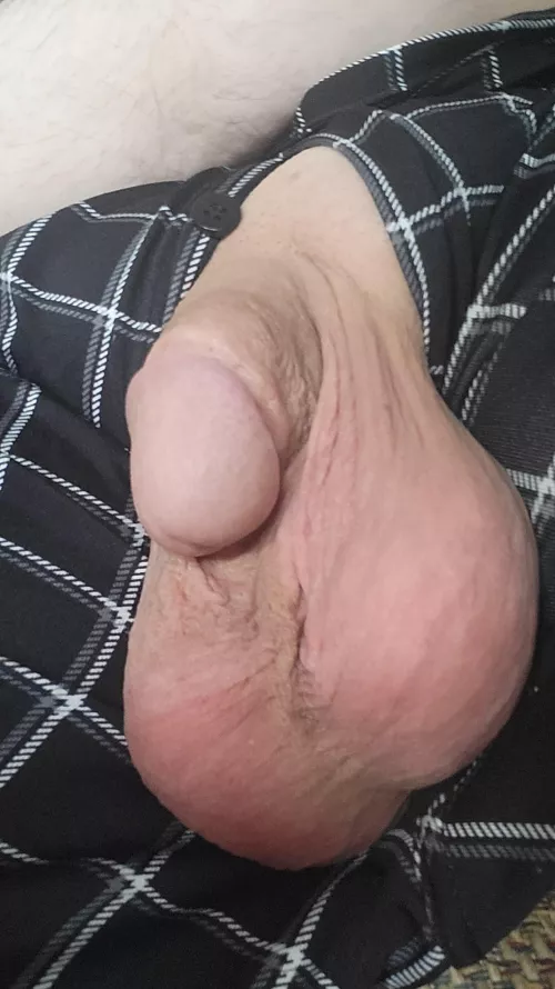 They're heavy today