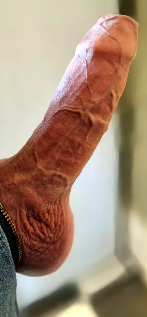 Thick, uncut, veiny and ready