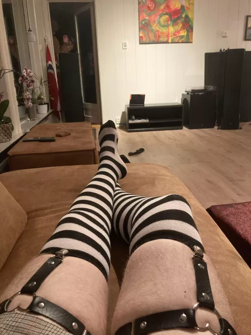 thighs