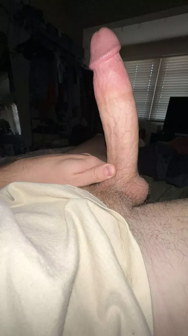 Thinking about STUFFING this dick into some hole right about now.. 🦃
