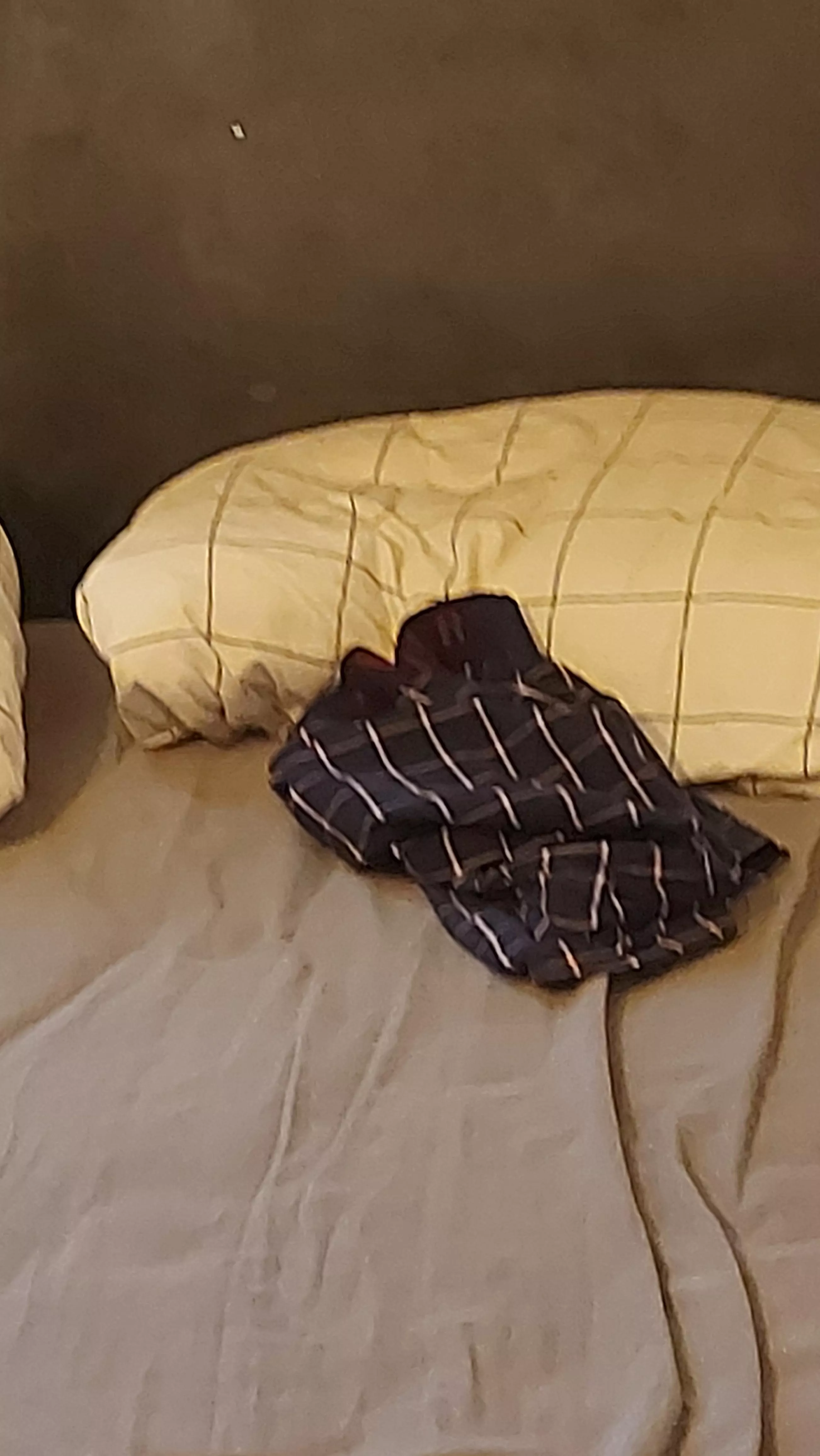 This budy is more organized I can t steal it but It smeel from the hiking 😈