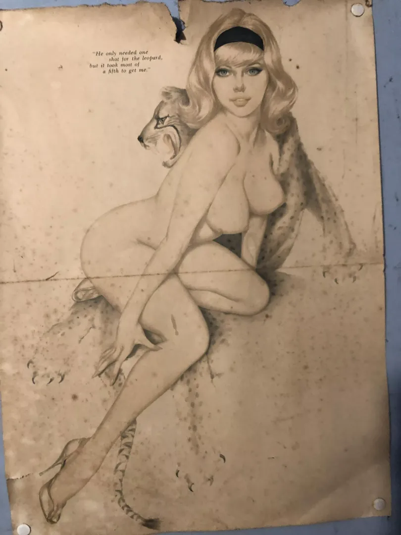 This has been hanging in my bathroom for as long as I can remember. I blame my bisexuality on it.