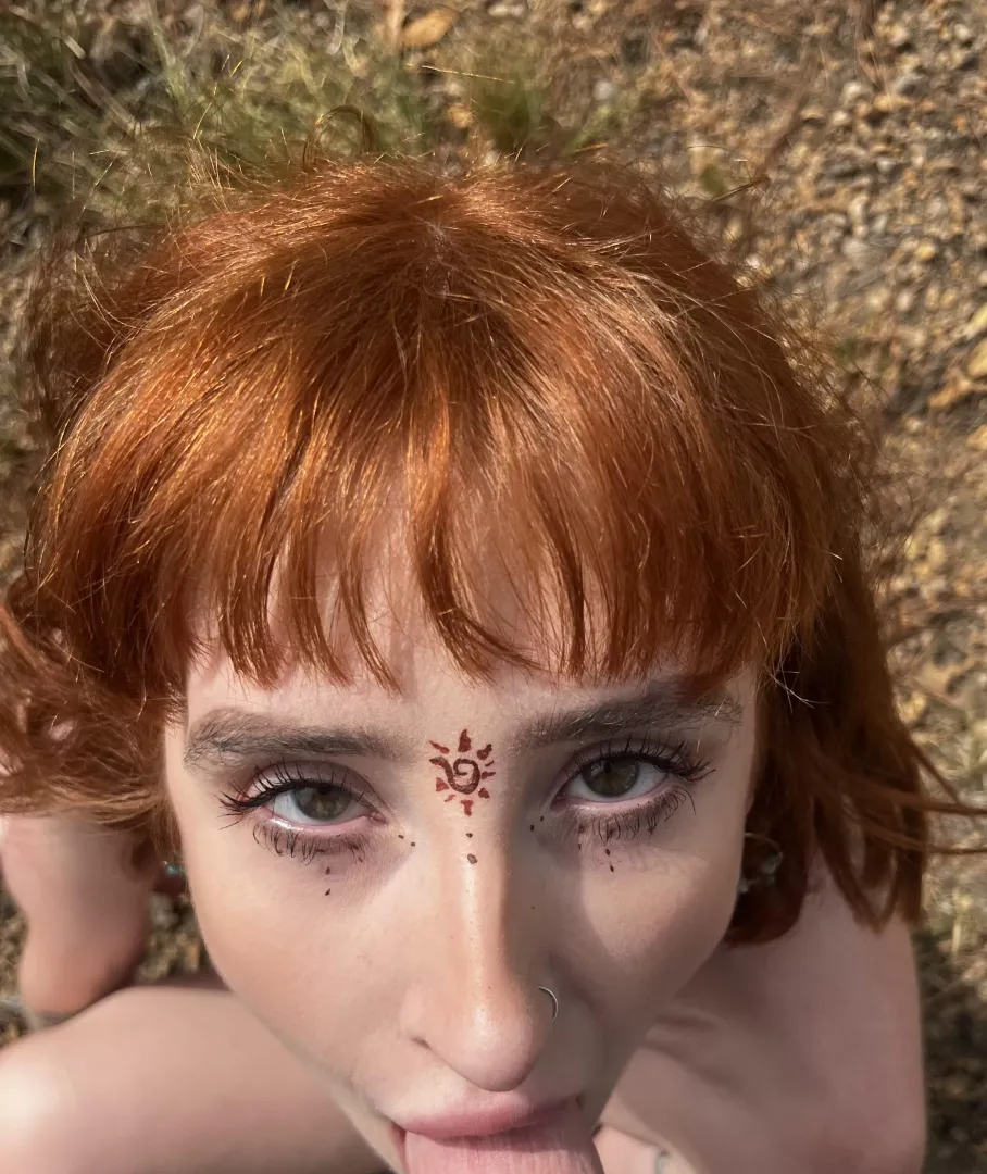 This is what me and your best friend do when we go on hikes without you. Too bad you don’t like walking. Here’s a pic of the scenic views though!