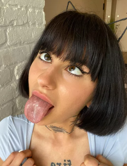 This kitty is incredibly hungry