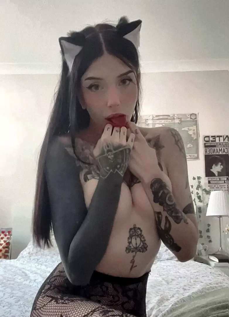 this kitty needs some milk