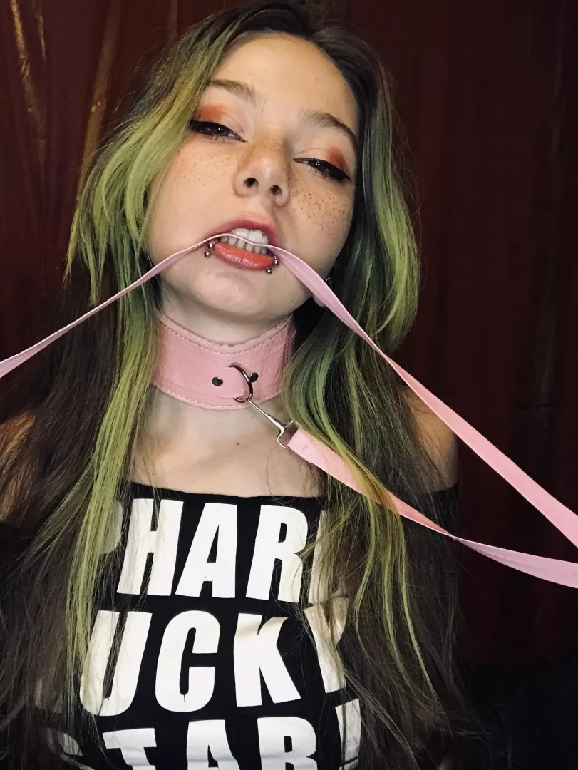 this leash is for you🦮