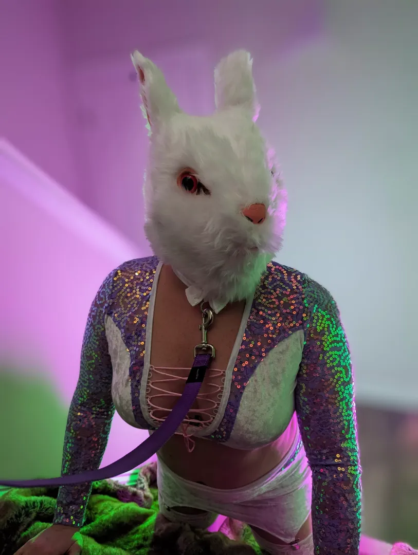 This naughty bunny wants to play 