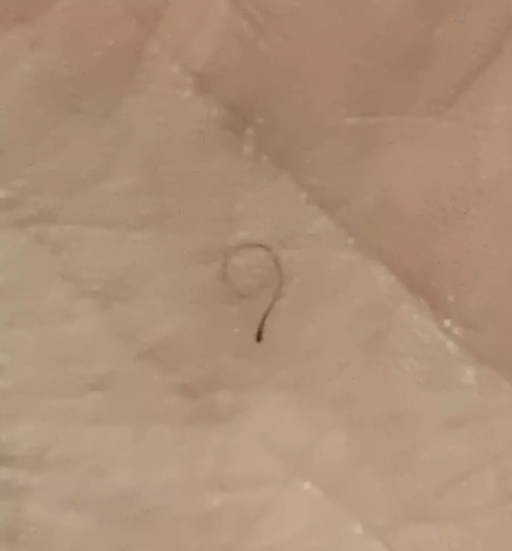 This nice lil ‘9’ I plucked🙂