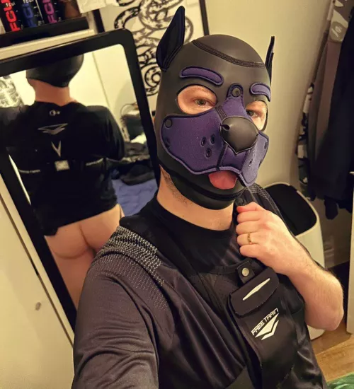 This pup smashed his 5k personal best this weekend. 🐶🐾