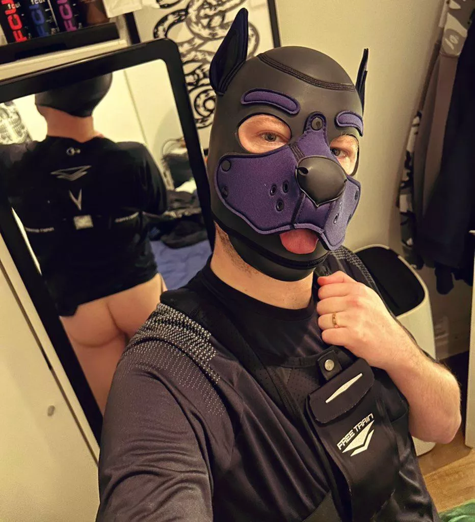 This pup smashed his 5k personal best this weekend. 🐶🐾