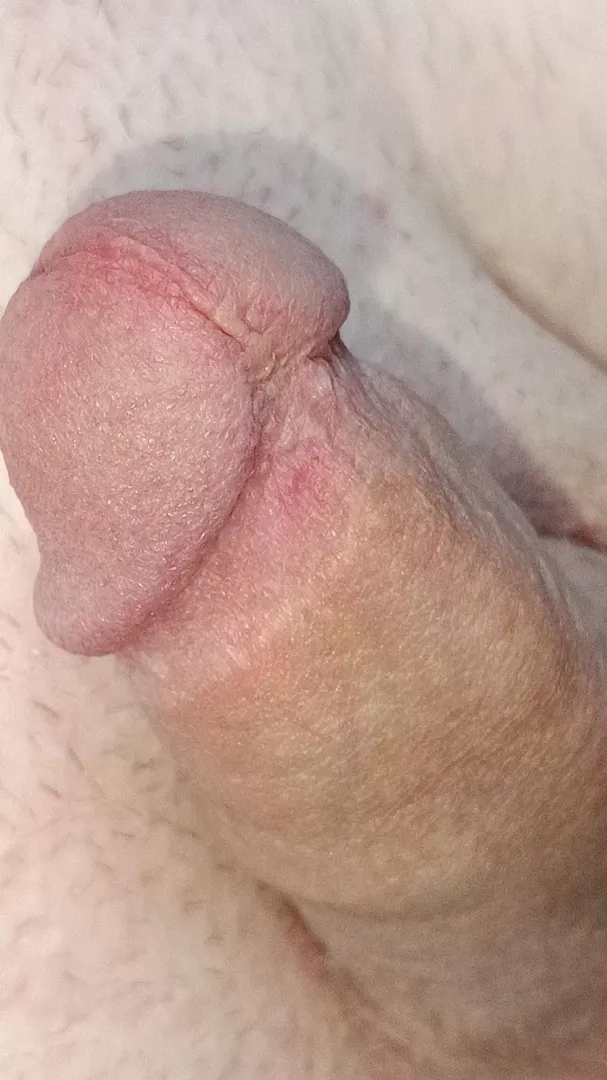 Thoughts?