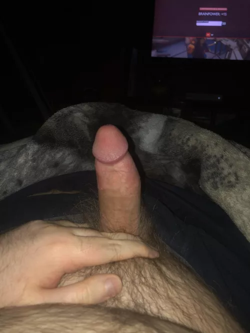 Thoughts?