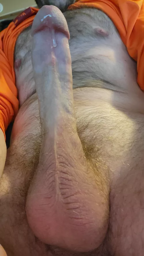 Thoughts?
