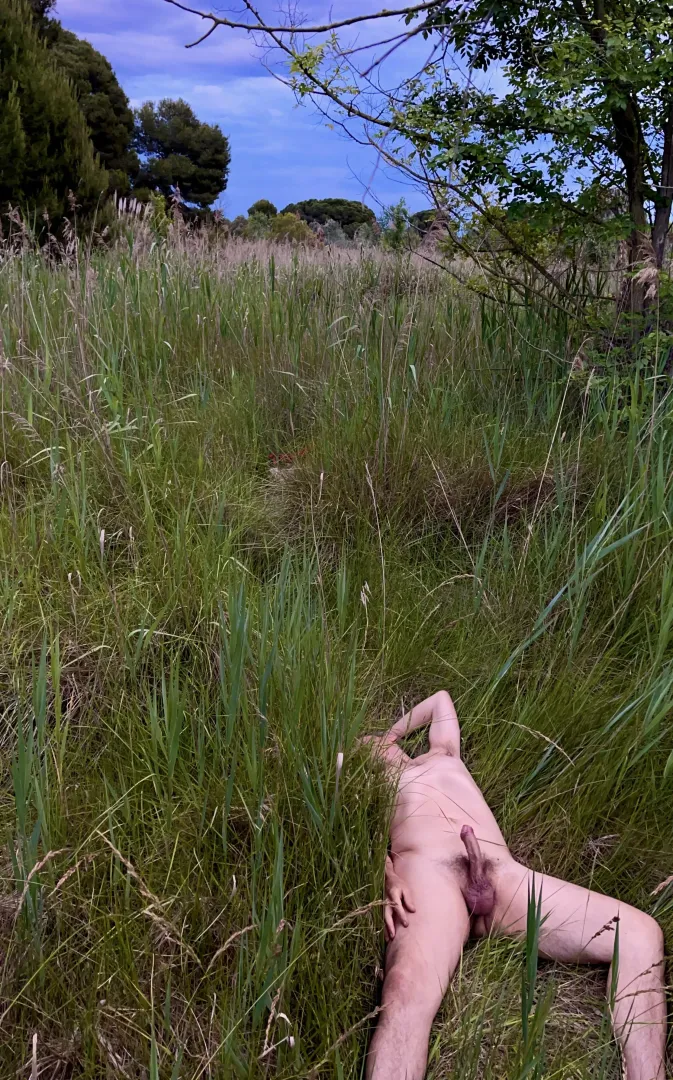 Tickling grasses…