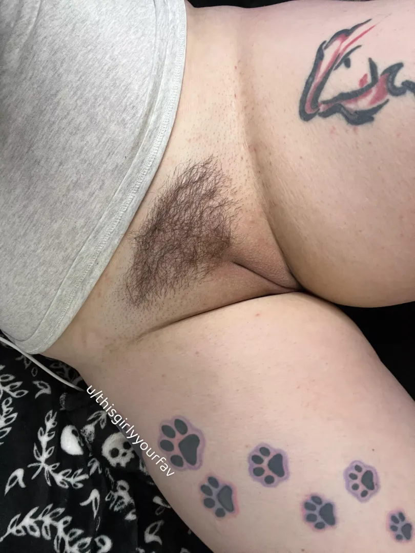 Tidy clean bush