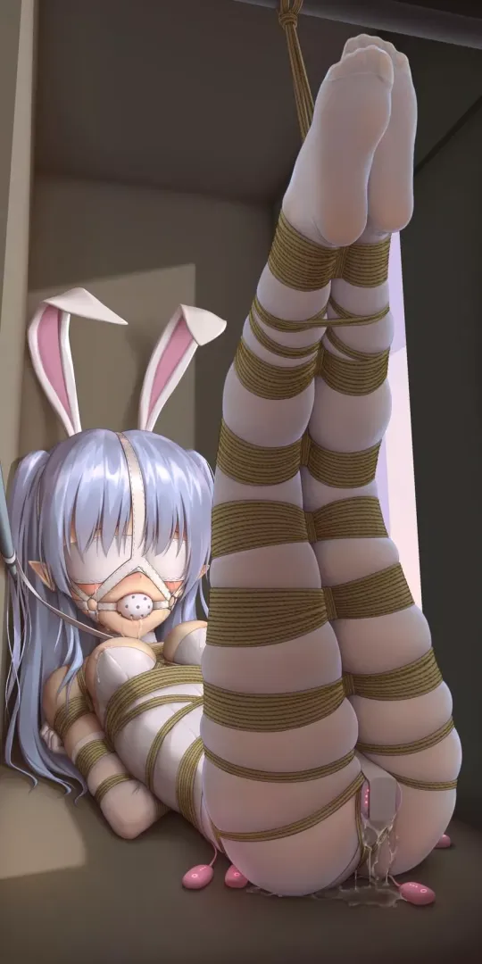 Tied Bunny in Closet (By: himitsu (hi mi tsu 2))