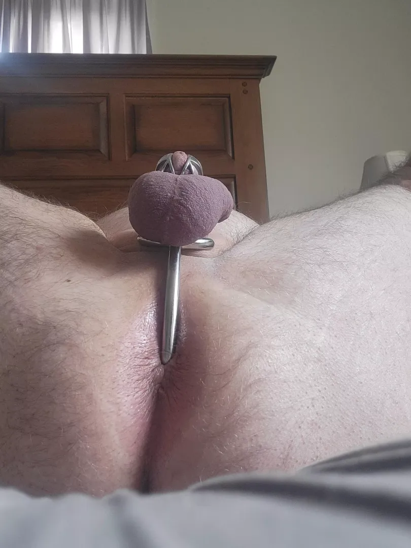 Tied, spread, plugged and caged. The Mistress had me right where she wanted me!