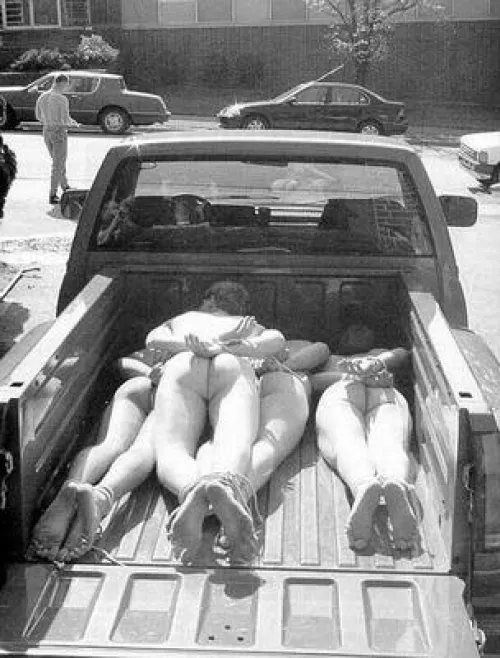 Tied up in the back of a truck