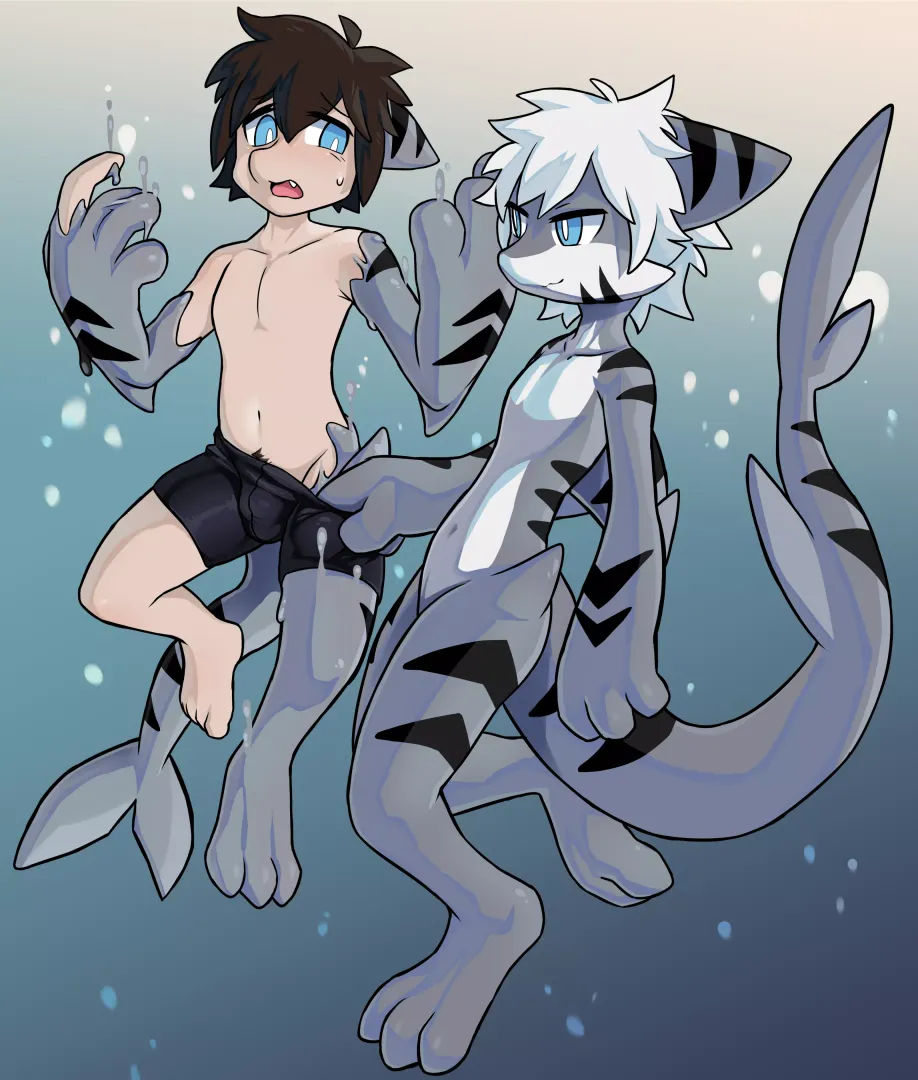 Tiger shark transfur (Huka) goo TF