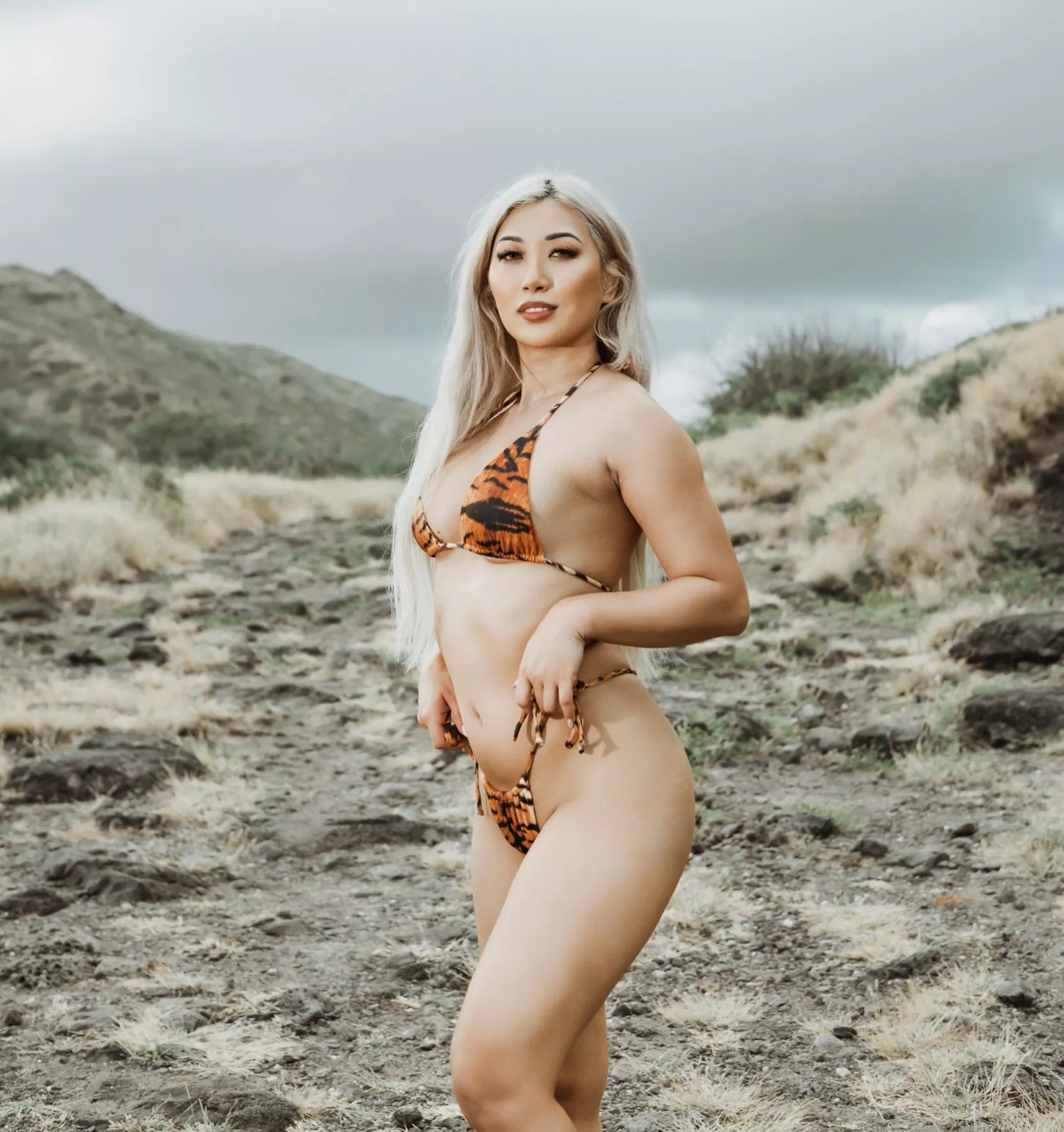 Tiger Stripes