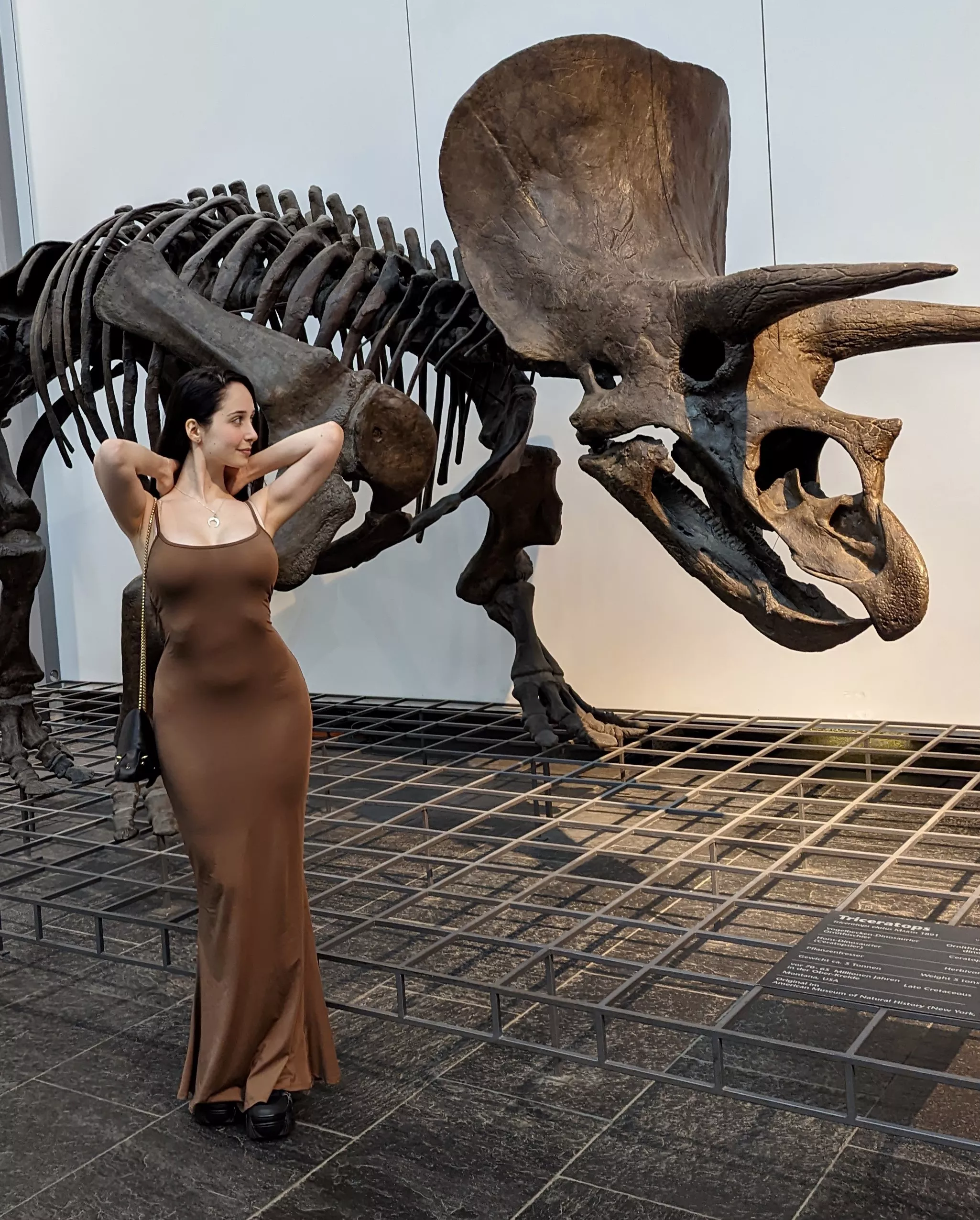 tight dress feat. triceratops