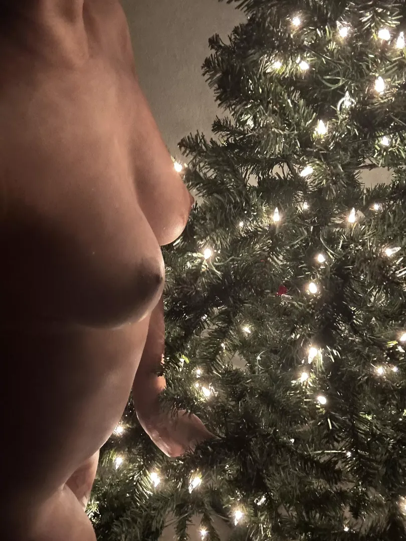 Tis’ the boobies