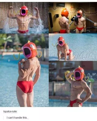 To the pokemon fans