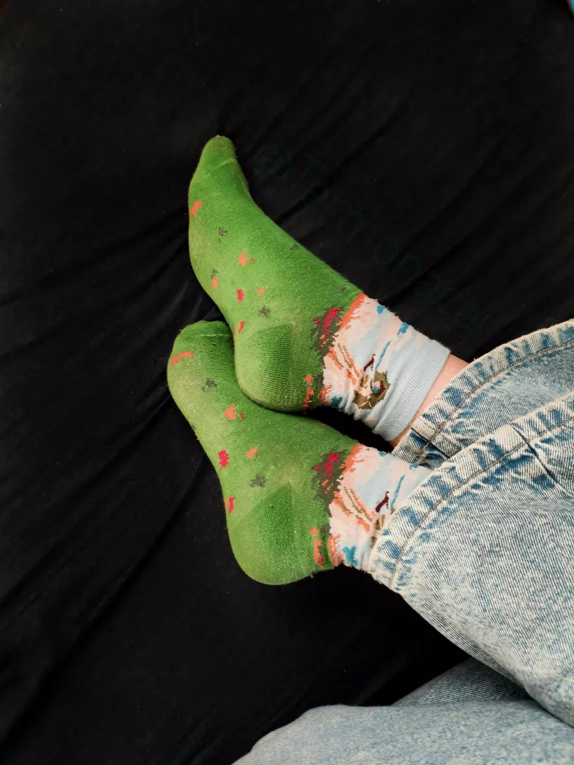today socks 😇