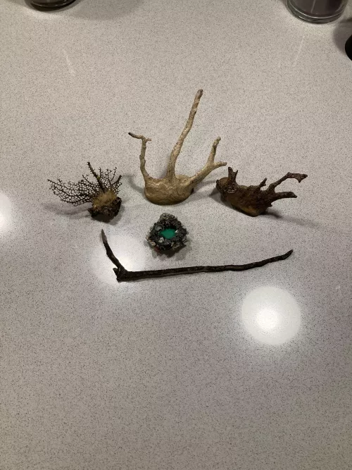 Todays haul of Beach ephemera.