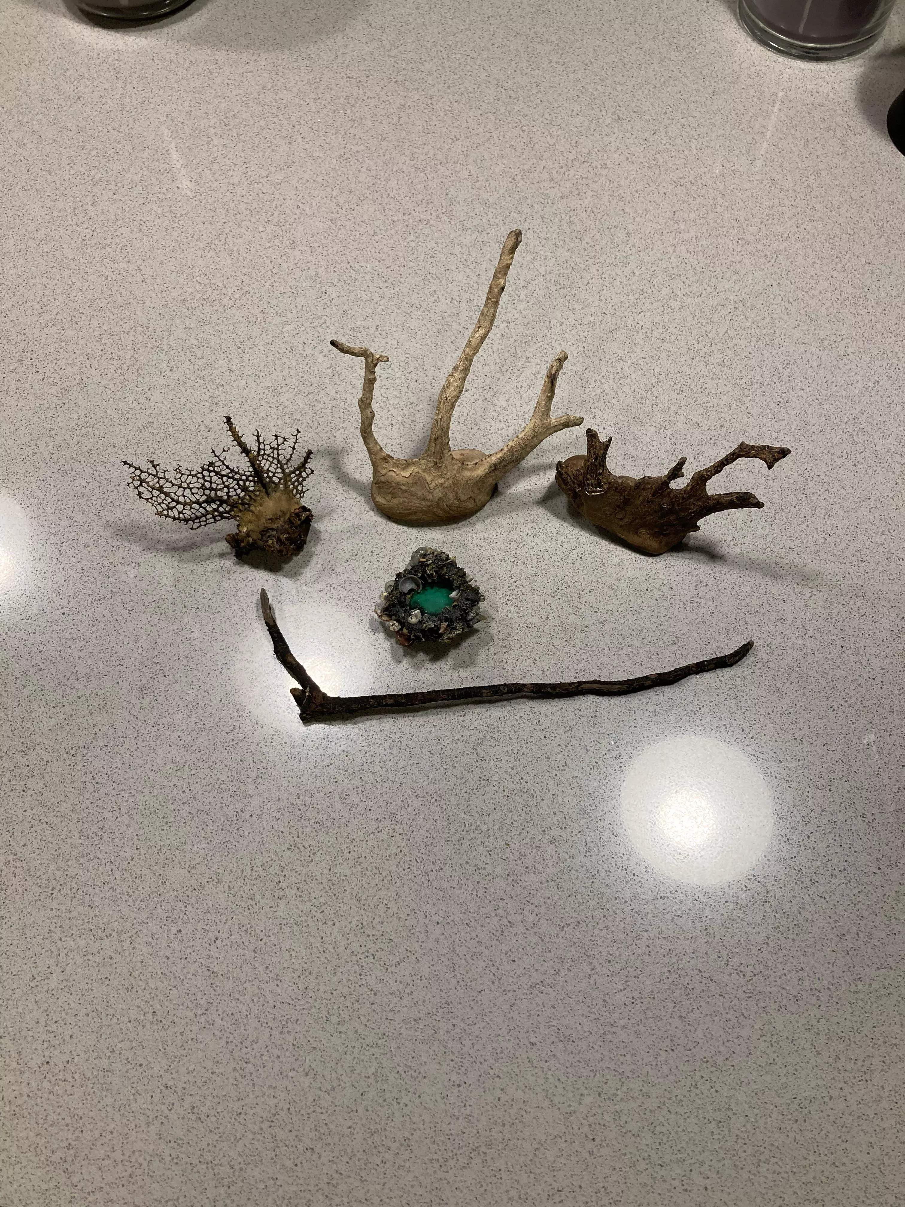 Todays haul of Beach ephemera.