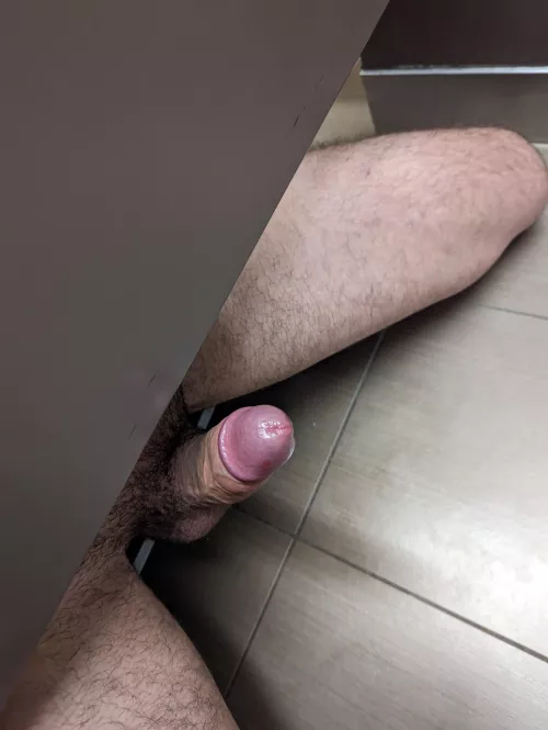 Today's protein snack