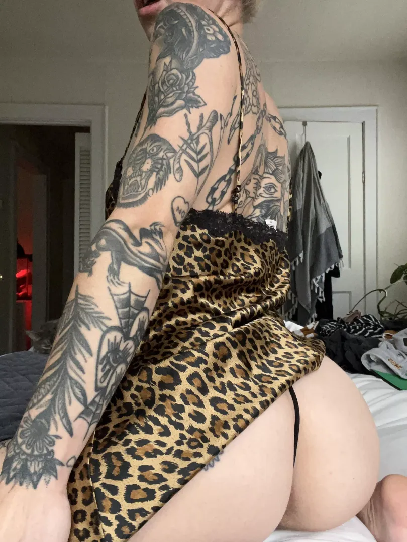 tonight’s outfit