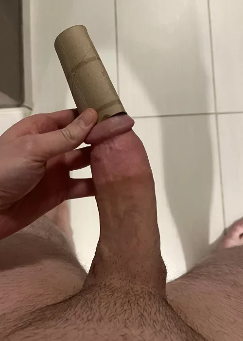 TP Roll- let me know who wins?