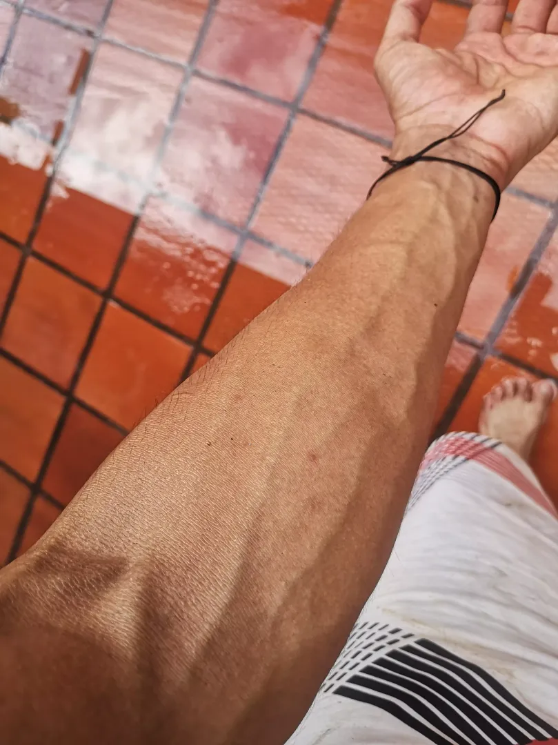 training arms