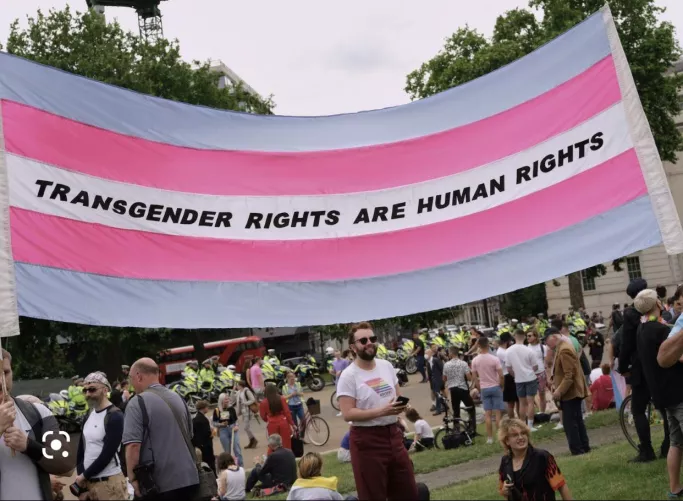 Transphobia