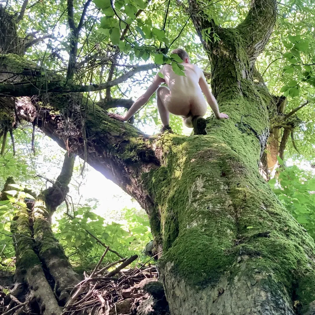 Tree Pose Tuesday