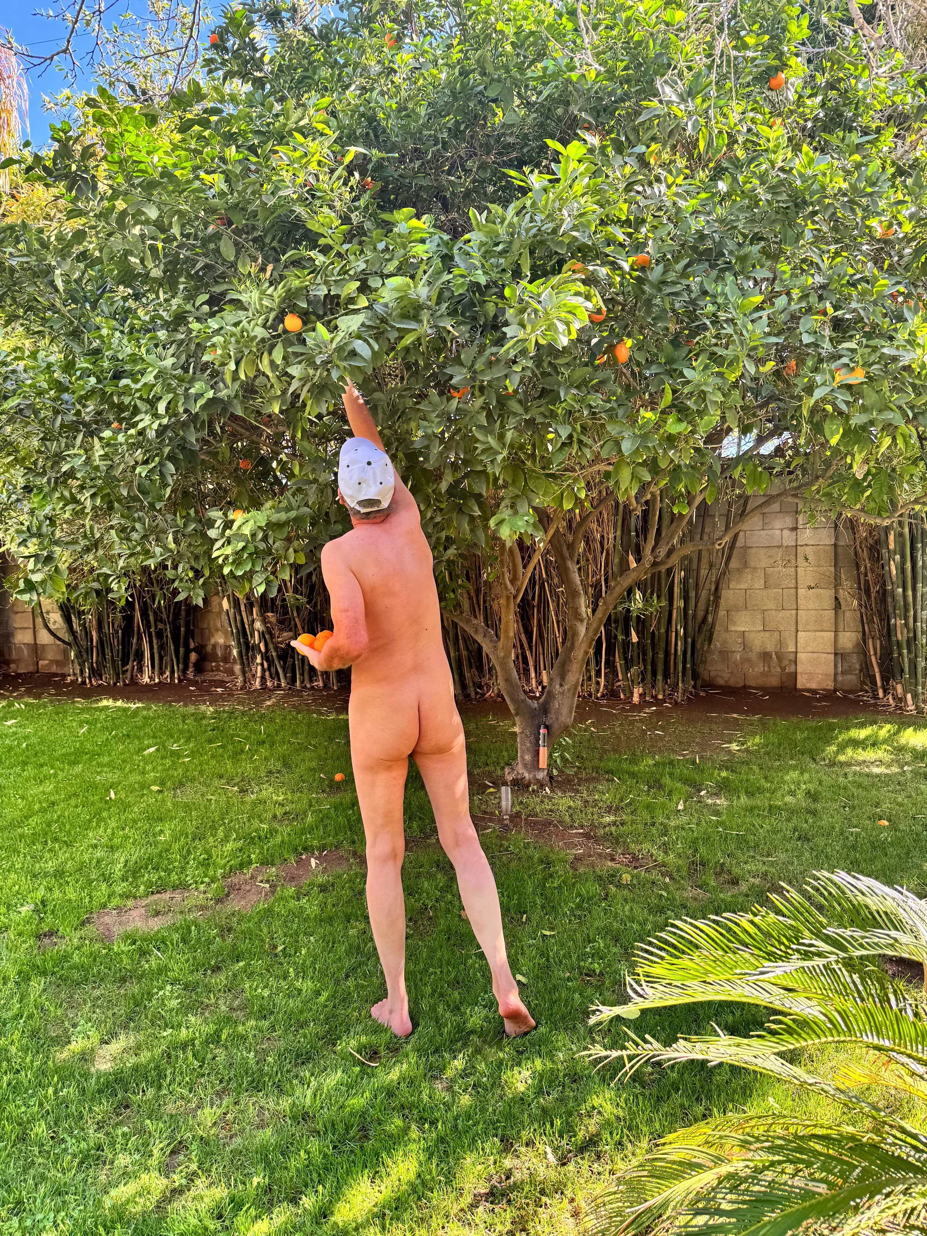 🌿Tree pose Tuesday🍀 A natural breakfast treat