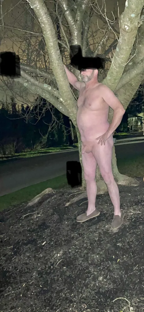Tree post Tuesday