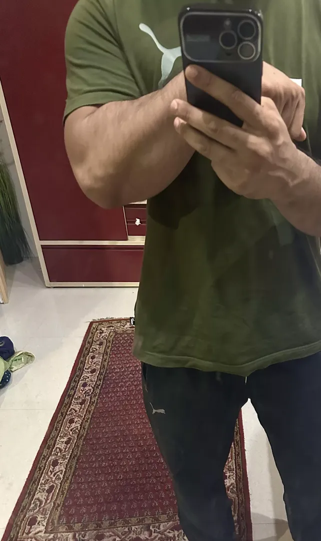Tree trunks