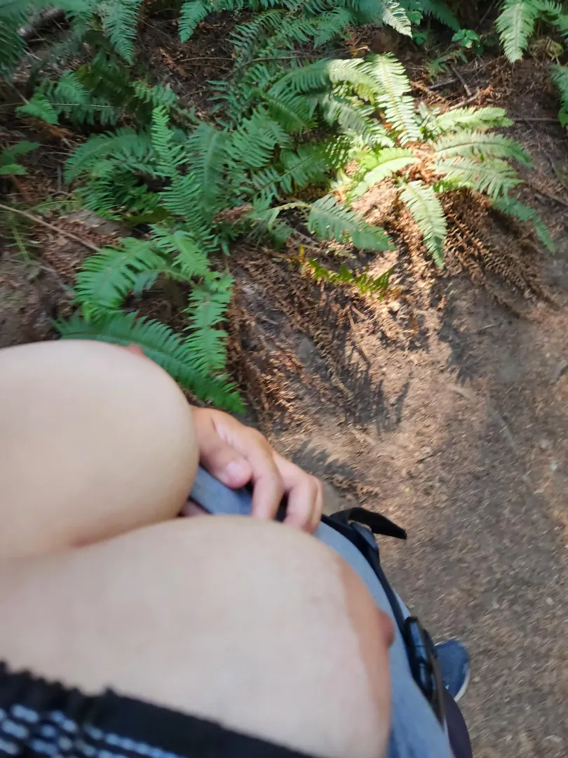 Trees and boobs