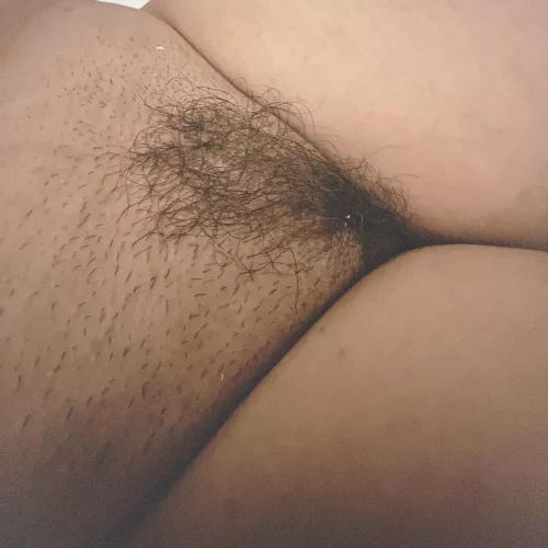 Trimmed the hedge. I love the look of the stubble