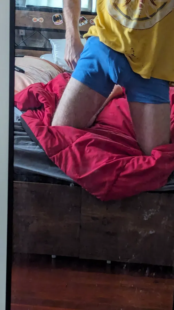 Trunks Are Amazing 