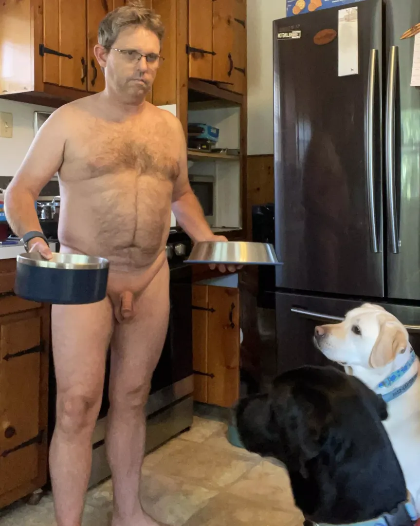 Trying to work from home and the dogs wanted to be fed early so I caved.