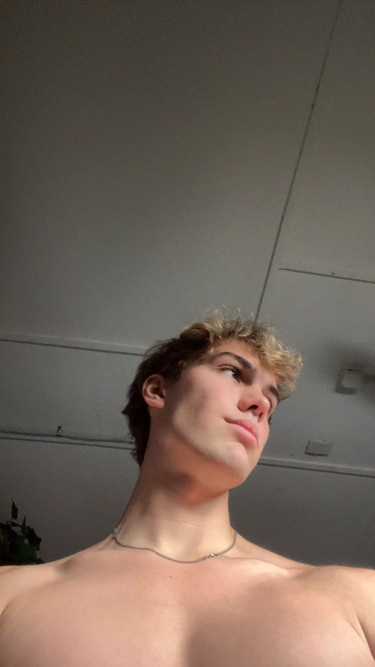 Trying to work on my chest, got any tips?