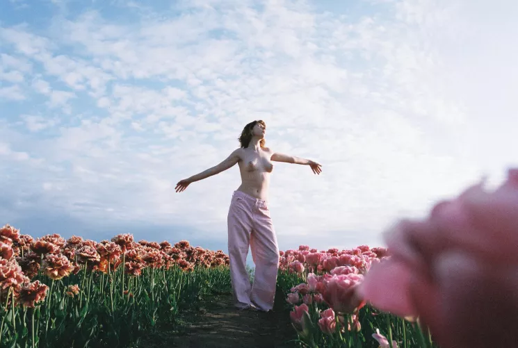 Tulips