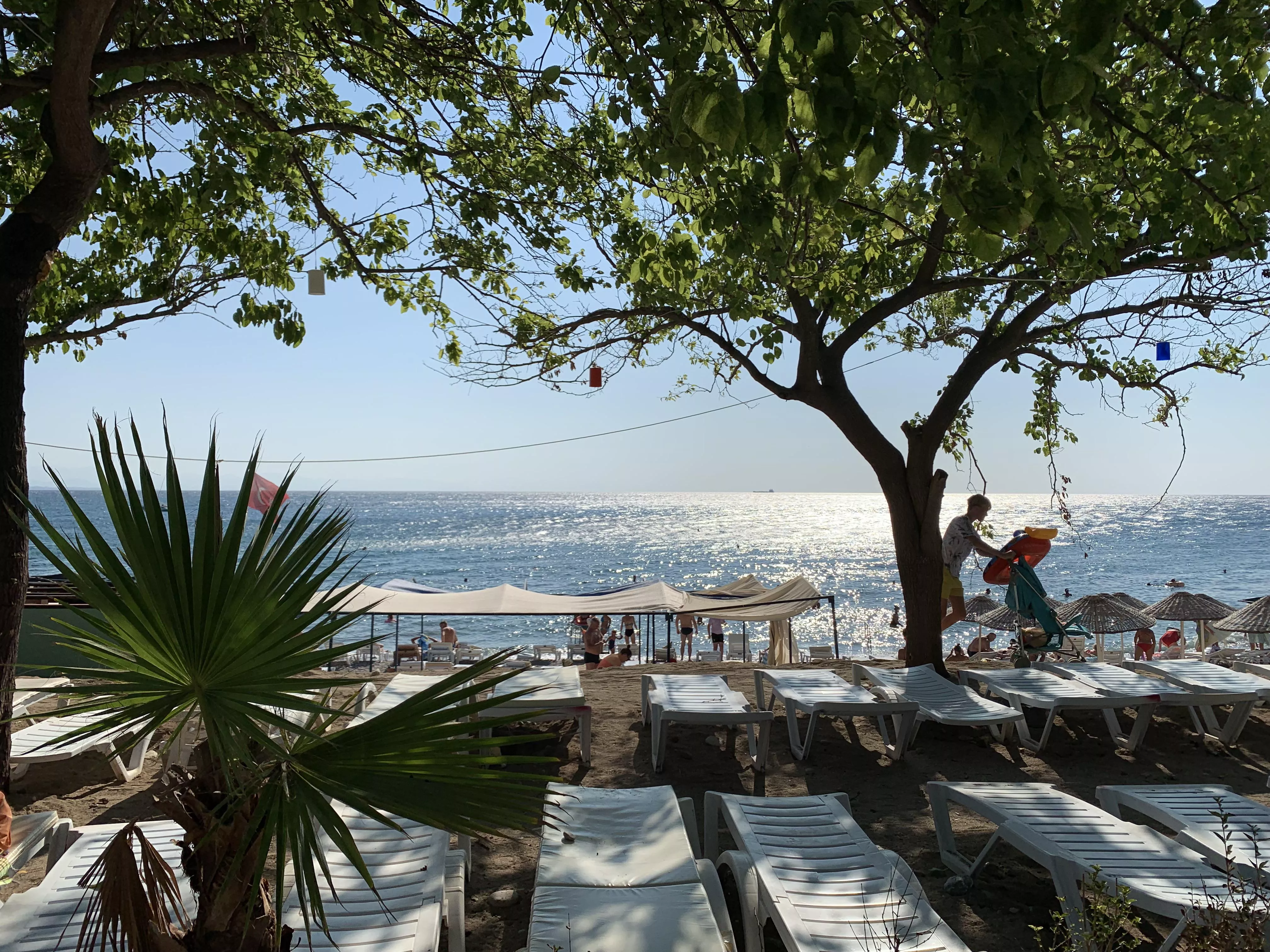Turkey 🇹🇷