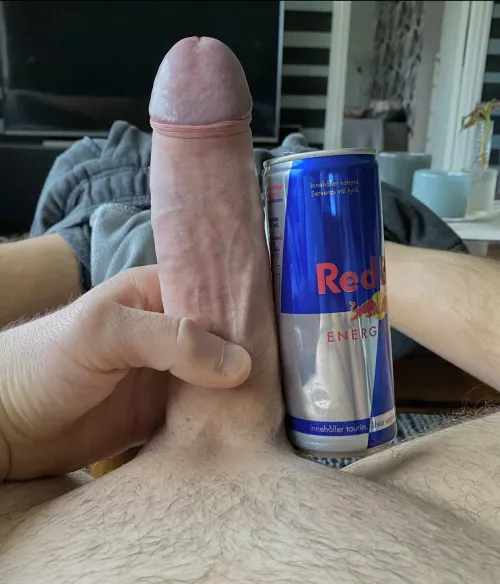 Two bulls, one cock